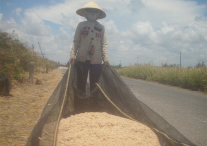 Trung mua ruoc, dan Bac Lieu kiem nua trieu moi ngay hinh anh