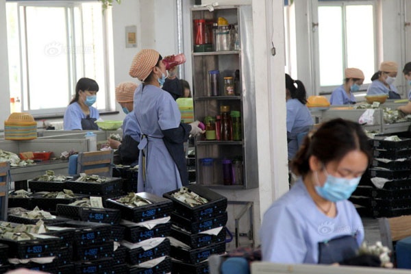 Phải ngồi quá lâu để kiểm kê 