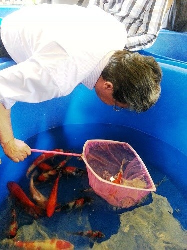 Ông Shori Luke - chuyên gia Nhật Bản kiểm tra cá Koi tại các hồ nuôi ở TP.HCM.