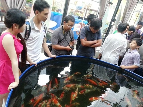 Ca 'quoc ngu' bi day gia toi troi hinh anh