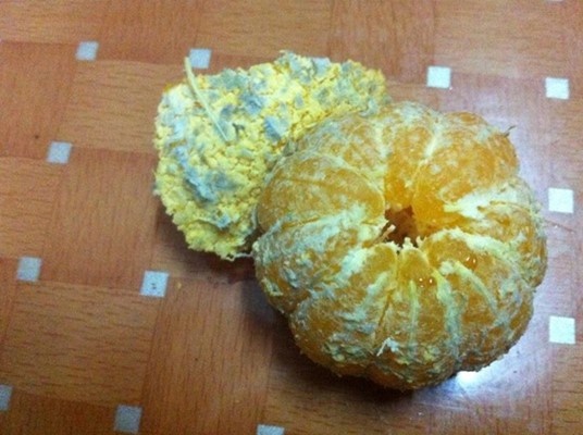 Nhung trai cay Trung Quoc khien khach hang vua an vua run hinh anh