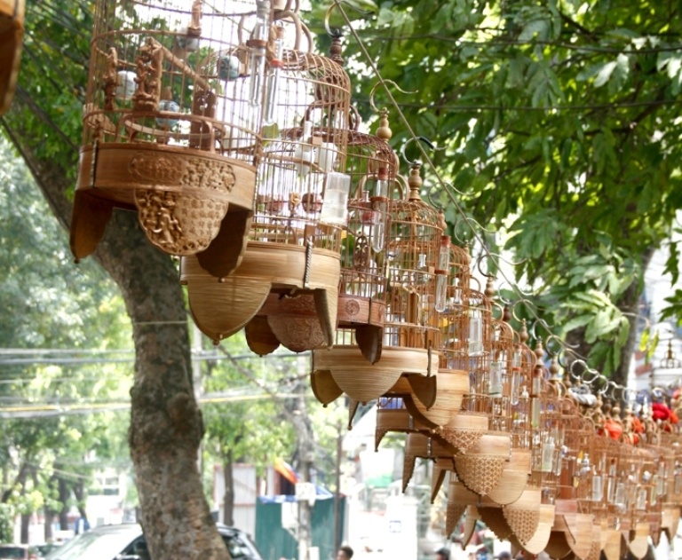 Dan choi Ha thanh bo hang tram trieu nghe chim hot hinh anh