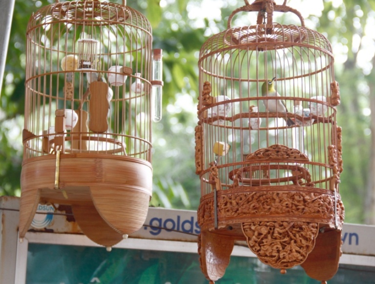 Tuy giá cả đắt đỏ nhưng vào mỗi buổi sáng có hàng chục, thậm chí  có hôm tổ chức cuộc thi thì có hàng trăm người tụ tập gây huyên náo cả một góc hồ Thiền Quang.