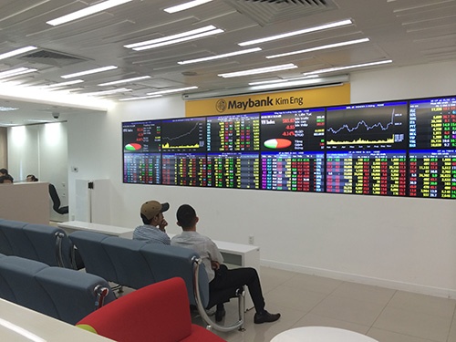 Uy ban Chung khoan: Xu ly nghiem hanh dong duc nuoc beo co hinh anh