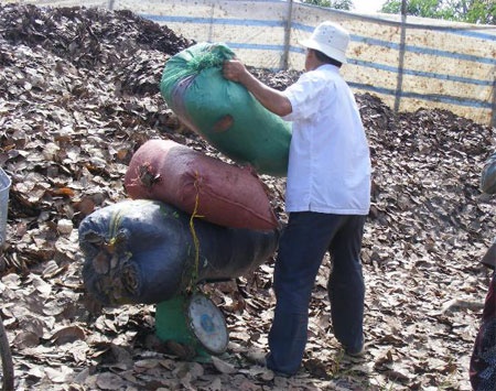 Lai xuat hien tinh trang mua la dieu kho o Binh Phuoc hinh anh