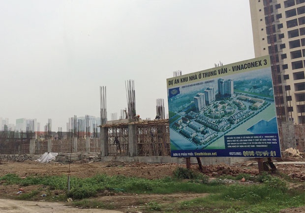 Lat tay chieu lam gia cua co dia oc hinh anh