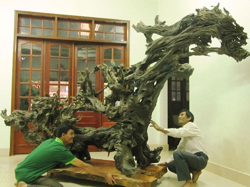 Nhung goc cay Viet Nam gia bac ty hinh anh