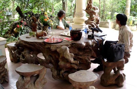 Gốc lũa siêu đẹp ở Hòa Bình.