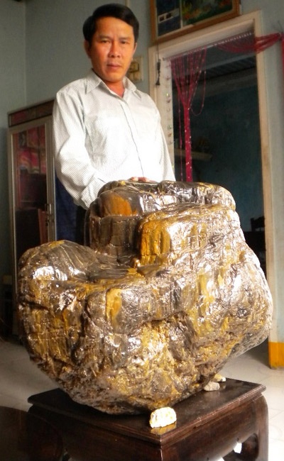 Ông Lê Văn Bảy bên gốc cây gỗ hóa thạch hàng ngàn năm tuổi.