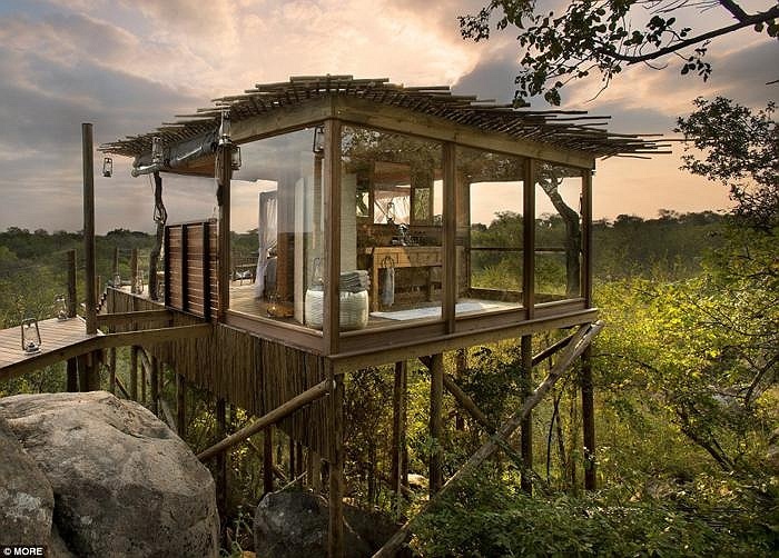 3 ngoi nha cay dep nhat the gioi o Nam Phi hinh anh