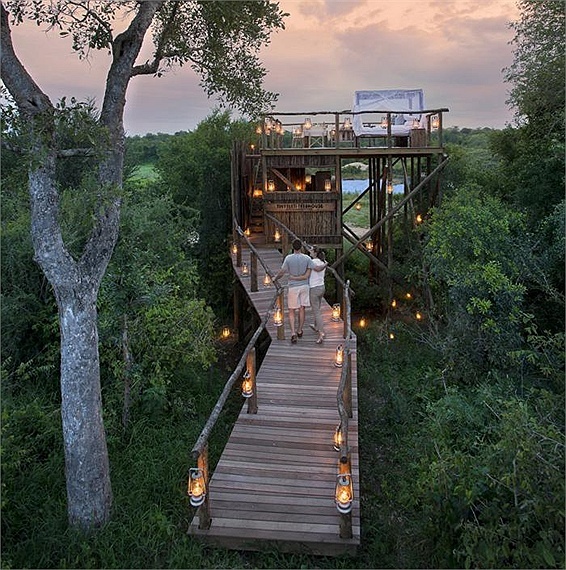 Những nhà cây như Kingston là địa điểm lý tưởng cho các cặp đôi đi nghỉ tuần trăng mật bởi không gian riêng tư và lãng mạn. 