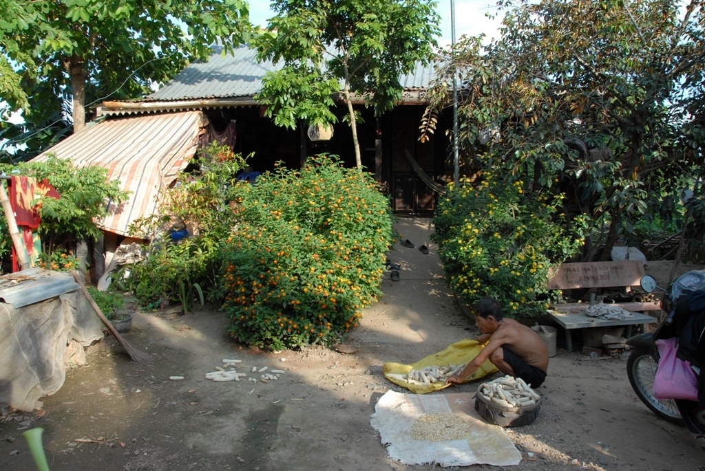 Căn nhà nhỏ của anh Hồ Văn Tạo xung quanh có nhiều cây cối, là nơi lý tưởng nuôi ong trong 30 cái bọng dừa lấy mật.