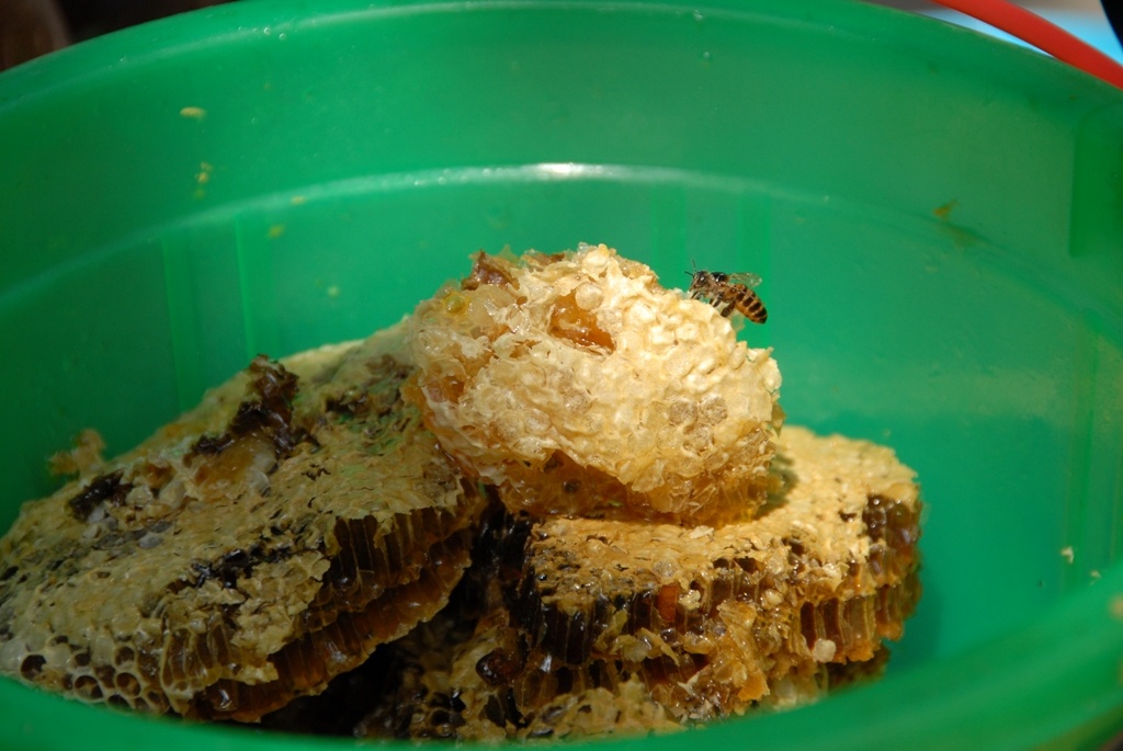 Hiện nay lượng mật ong của anh sản xuất ra không đủ tiêu thụ. Trước mắt anh chỉ bán cho hàng xóm tại địa phương. 