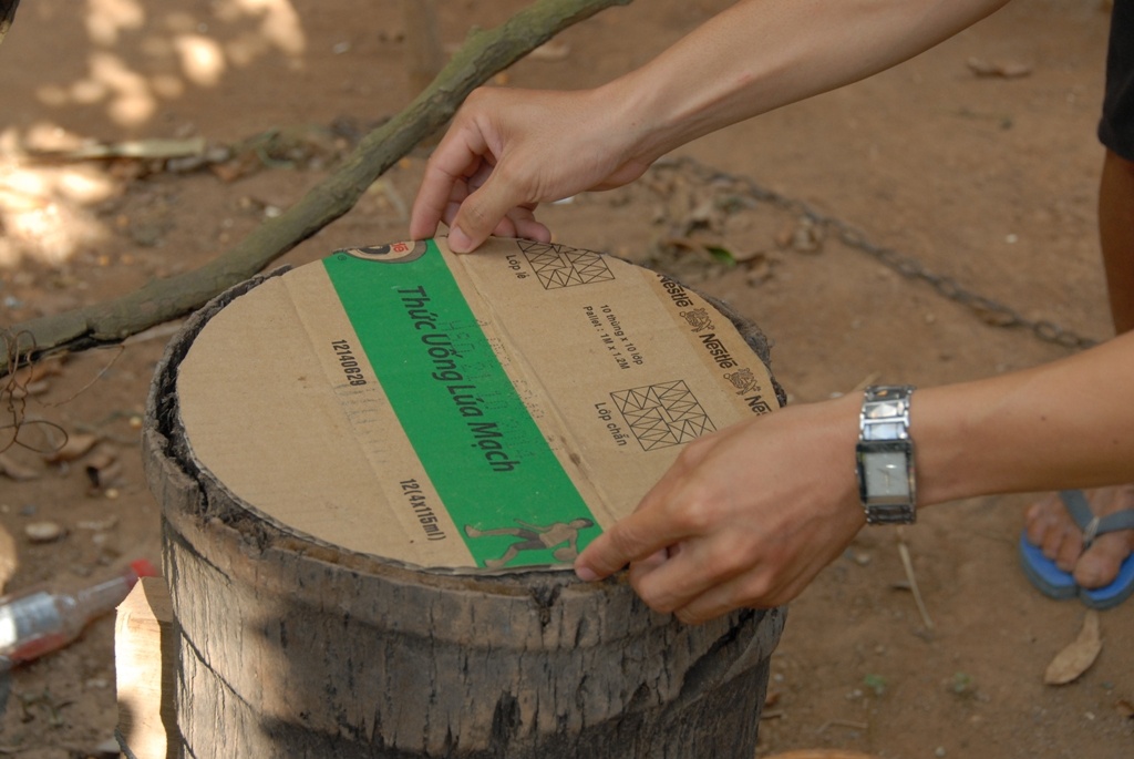 Cách nuôi ong của anh Tạo trong bọng dừa người ngoài nhìn vào không biết, chỉ thấy khúc cây khô có ong bay ra vào.