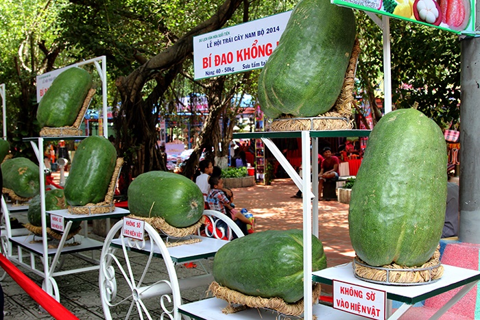 Cu qua doc la gap nhau tai le hoi trai cay Sai Gon hinh anh