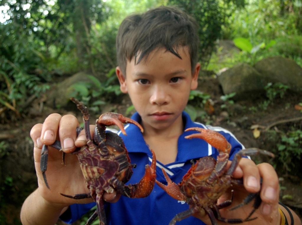 Cau cua nui, nghe kiem tien mua mua cua dan mien Tay hinh anh