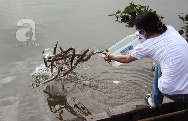 Nguoi Sai Gon chi tien trieu mua ca phong sinh hinh anh