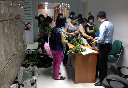 Cho o to ban rau sach tan cua cong so hinh anh