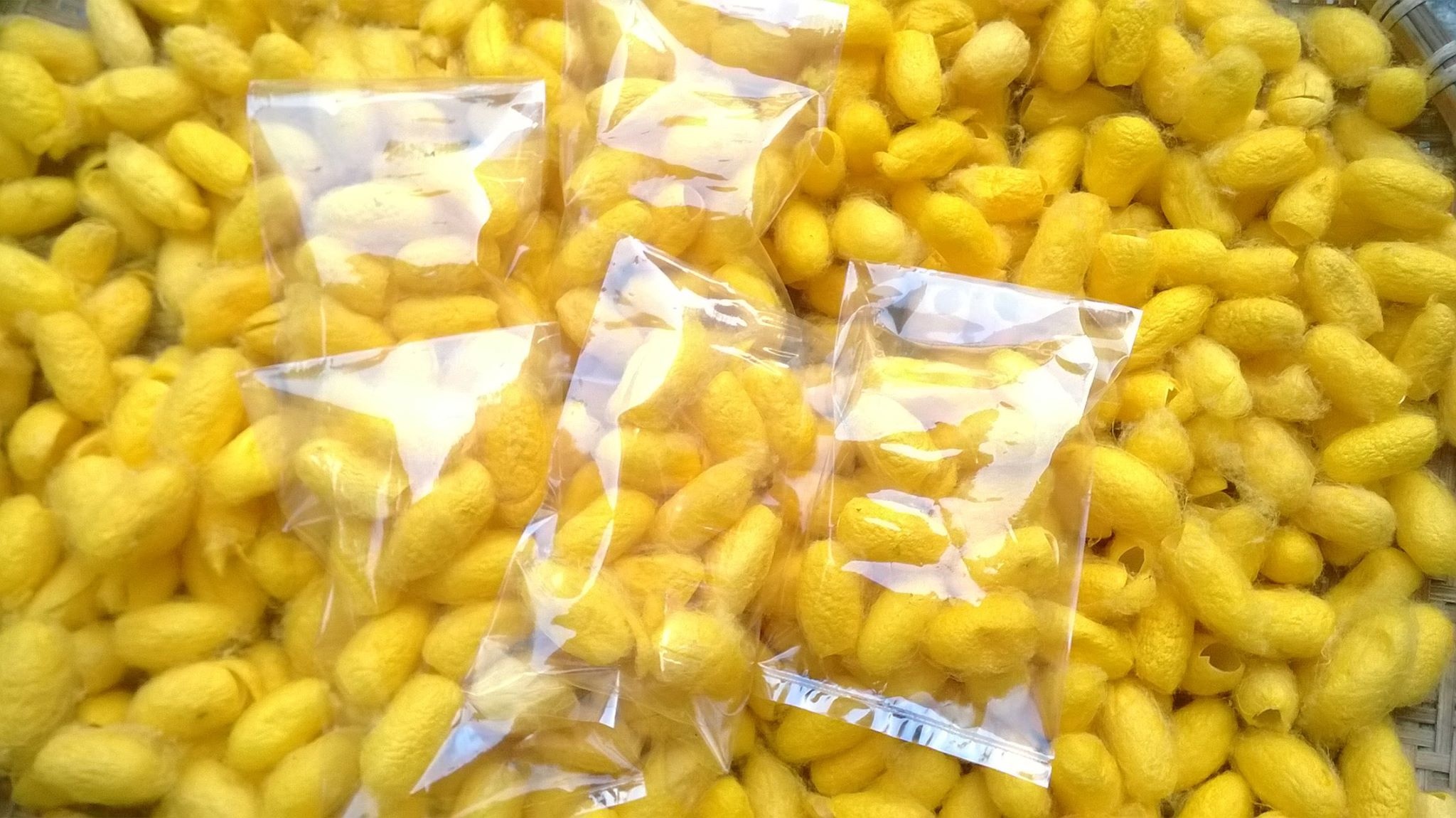 Gần đây nhất, nhiều chị em truyền tai nhau bí kíp làm đẹp 