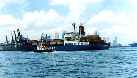 Những con tàu Vinalines phải mạnh hơn nữa để vươn khơi .