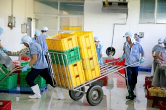 Nguoi Viet gioi den dau? hinh anh