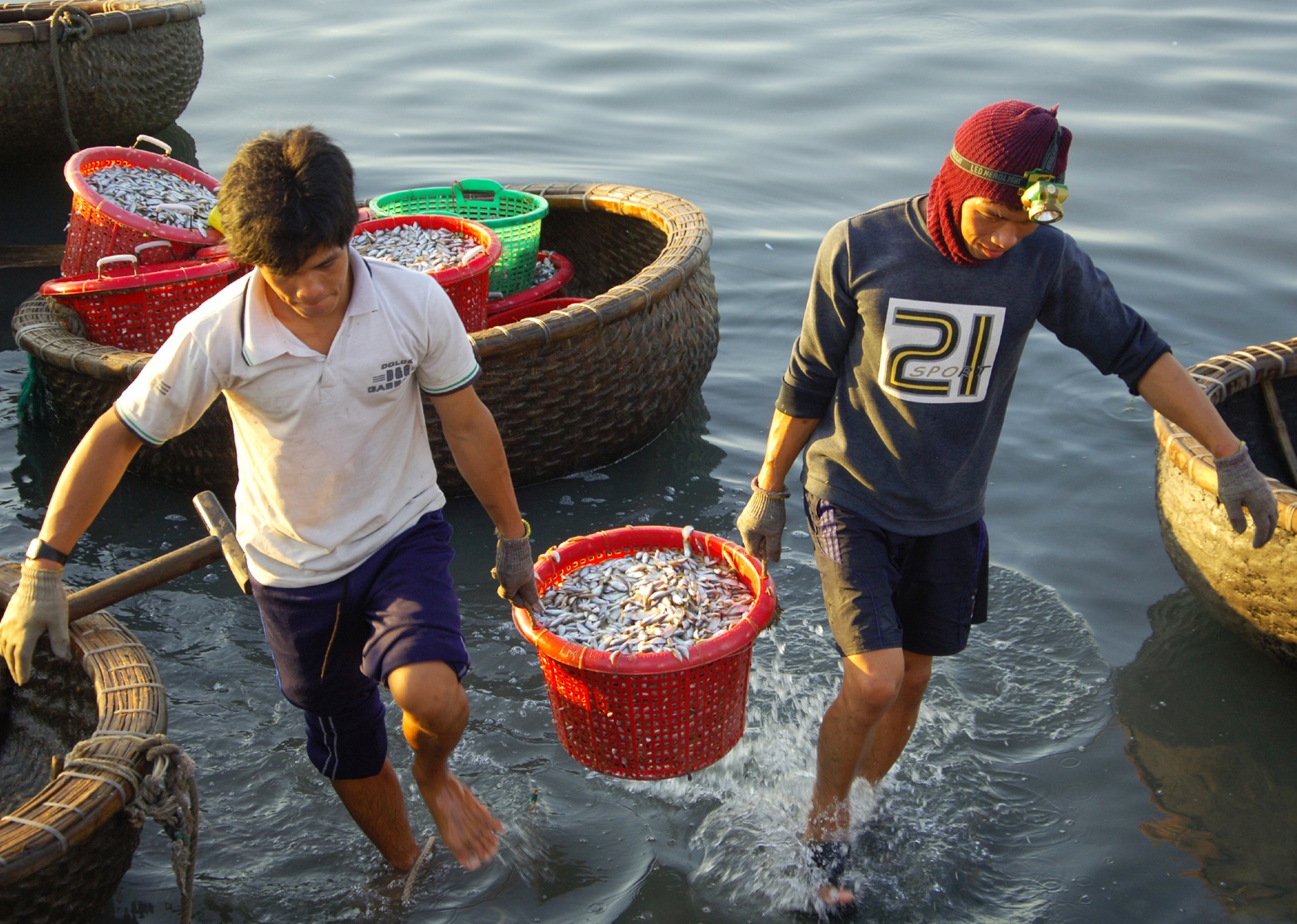 Những rổ cá đầy ắp được nhanh chóng chuyển lên bờ.