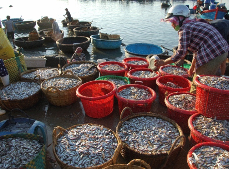 Cho ca do gia 30.000 dong/gio ven dam Cu Mong hinh anh