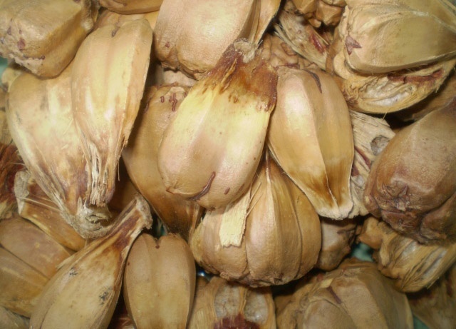 Hoa dứa dại có giá 50.000 đồng/lạng.