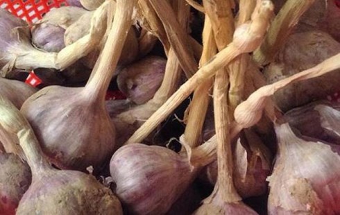 Cach nhan dien toi Da Lat, tranh nham toi Trung Quoc hinh anh