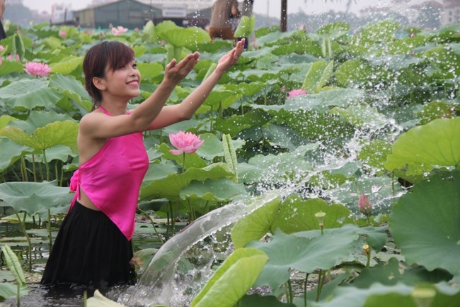 Chu dam trung dam tien trieu nho mot chup anh cung sen hinh anh