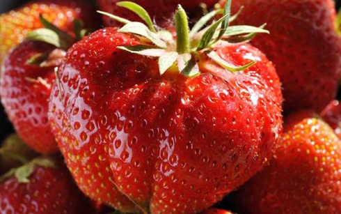 Khi liệt kê ra mới thấy, có quá nhiều loại rau, củ, quả có xuất sứ từ Trung Quốc được bày bán tràn lan trên khắp các chợ, các gian hàng.