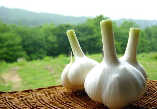 Với các mặt hàng nông sản như càrốt, tỏi, củ hành, bông cải, bắp cải, củ cải trắng, khoai tây,... lượng hàng nhập về chợ vẫn còn nhiều do phần lớn các nhà hàng, quán ăn vẫn đặt mua.