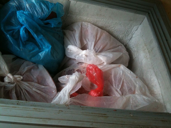 Thịt lợn chết được bảo quản trong tủ lạnh.