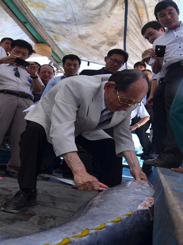 Chuyên gia Nhật Bản Masakazu Shoga hướng dẫn ngư dân cách xử lý cá ngừ đại dương trước khi cho vào hầm lạnh bảo quản.