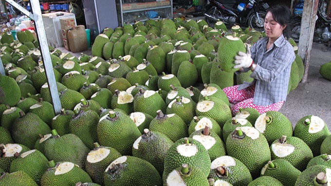 Trai cay, rau cu... sang EU, An Do hinh anh