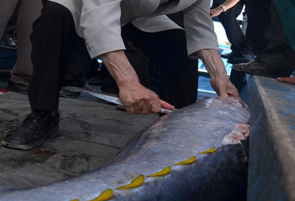 Gia ca ngu Binh Dinh tang ngoan muc, se dau gia o Nhat hinh anh
