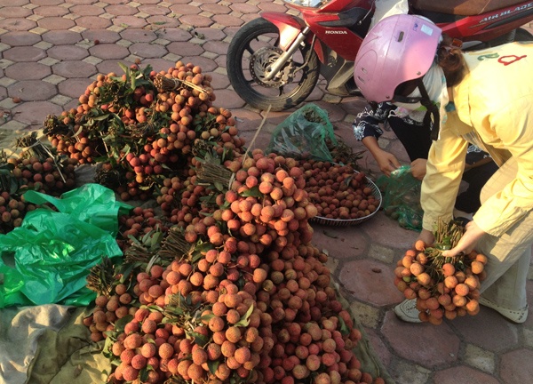 Ban 1 kg vai chi mua du mo rau muong hinh anh