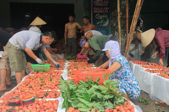 Thuong lai Trung Quoc do xo mua vai thieu Bac Giang hinh anh