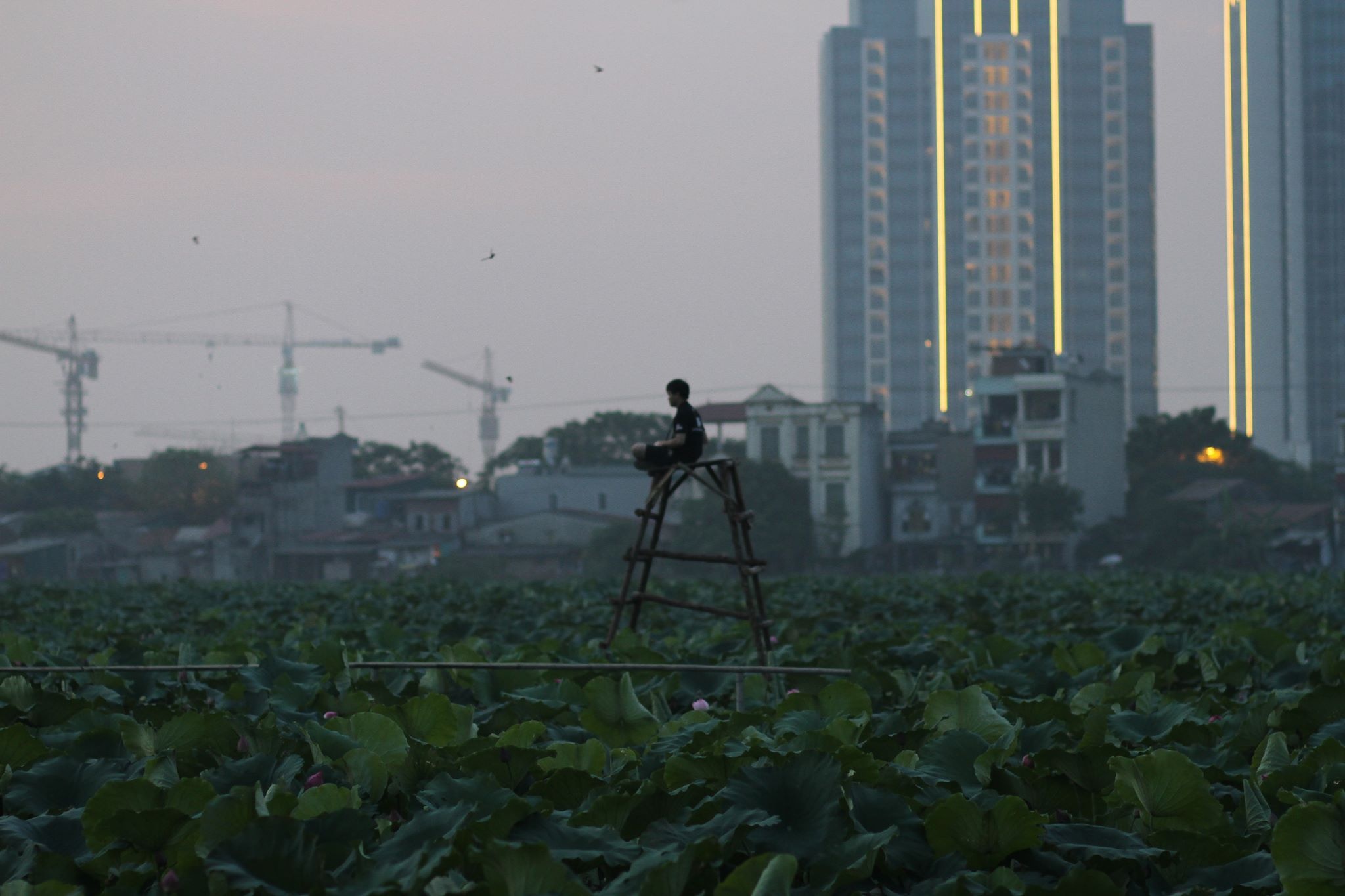 Hơn 8 giờ tối, anh Hưng vẫn miệt mài chụp ảnh cho khách.