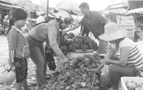 Trai cay DBSCL: Den mua, rot gia hinh anh
