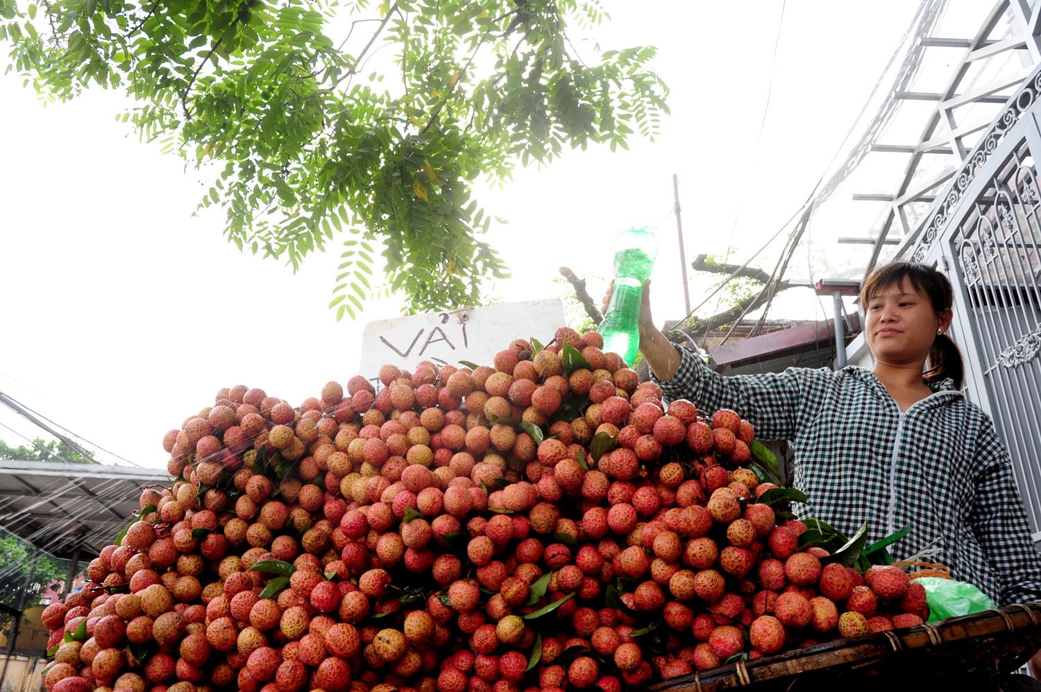Vai thieu gia re tran xuong duong pho Ha Noi hinh anh