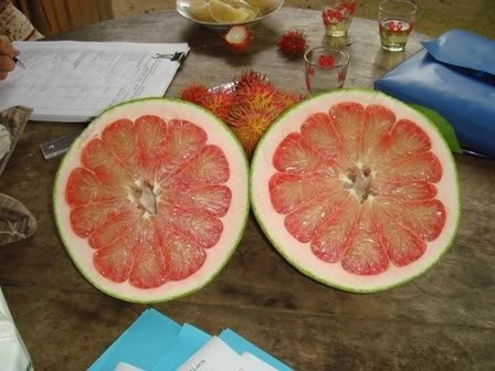 60.000 dong/kg buoi da xanh hinh anh