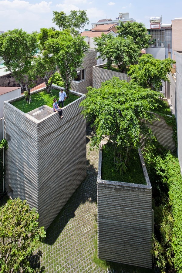 “House for trees” dựa trên ý tưởng những chậu cây xanh.