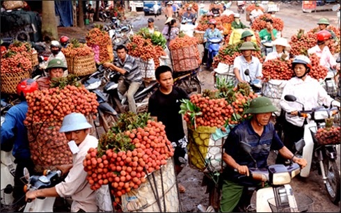 Cu dan mang ho hao mua vai de the hien long yeu nuoc hinh anh