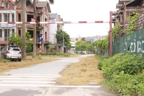 Nong dan Ha Noi phoi rom o biet thu trieu do hinh anh