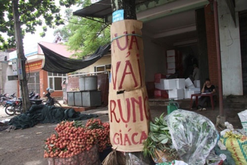 Kiem bon tien nho an theo mua vai hinh anh