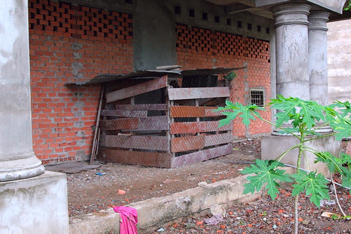 Chuong ga, nha yen tien ty o Sai Gon hinh anh