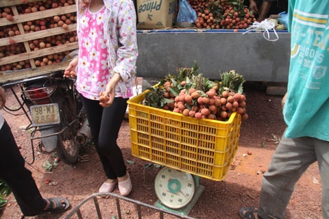 Vai re thoi van bi ep gia, can dieu hinh anh