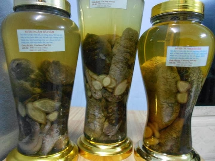 Người tiêu dùng nên thận trọng khi mua hải sâm để sử dụng vì không phải tất cả hải sâm đều an toàn. Ảnh minh họa