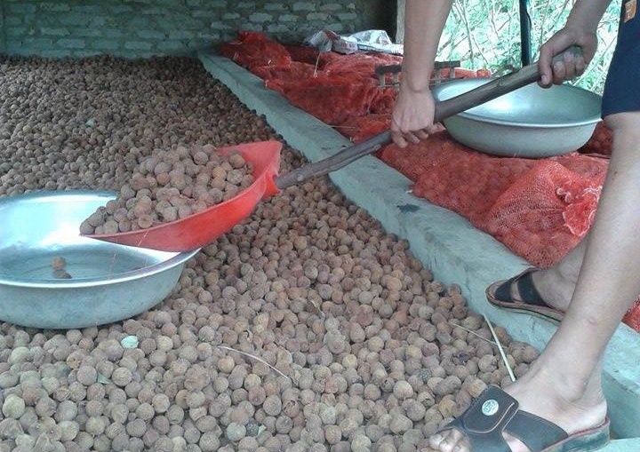 Vai tuoi mat gia, vai say ban buon 30.000 dong/kg dat hang hinh anh